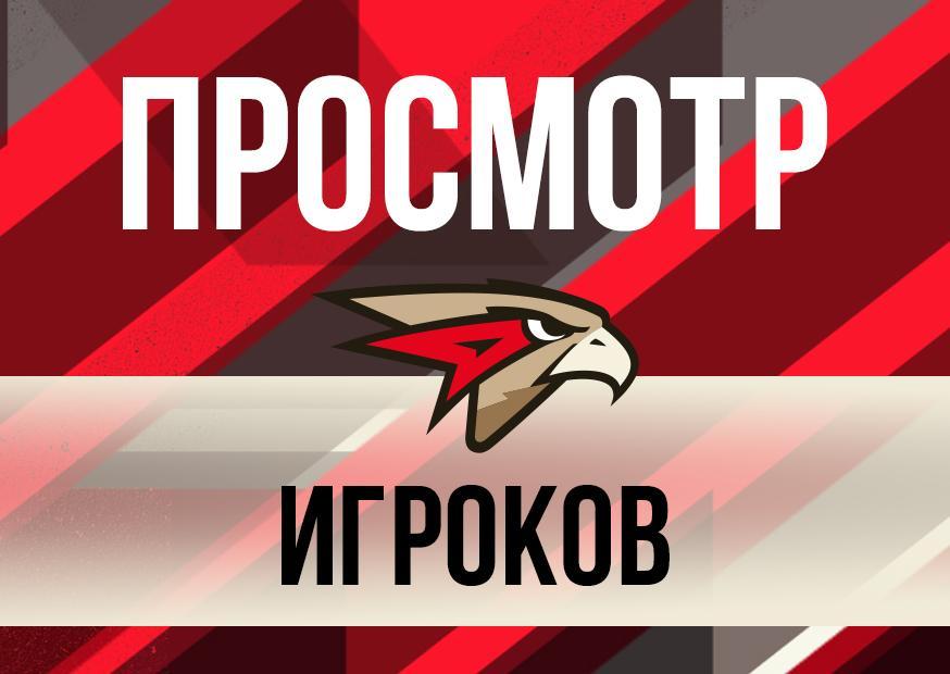 Просмотр общий