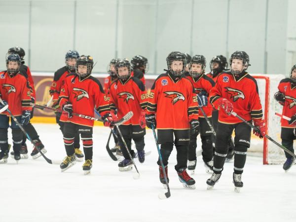 Поздравляем команду 2014 года, весь тренерский штаб, родителей и болельщиков с удачным завершением официальных игр Кубка Москвы!