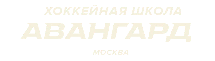 Хоккейная школа Аванград Москва
